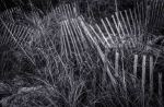 Beach-Fence