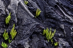 Pahoehoe_Lava