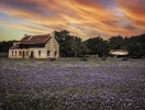 Bluebonnet-House